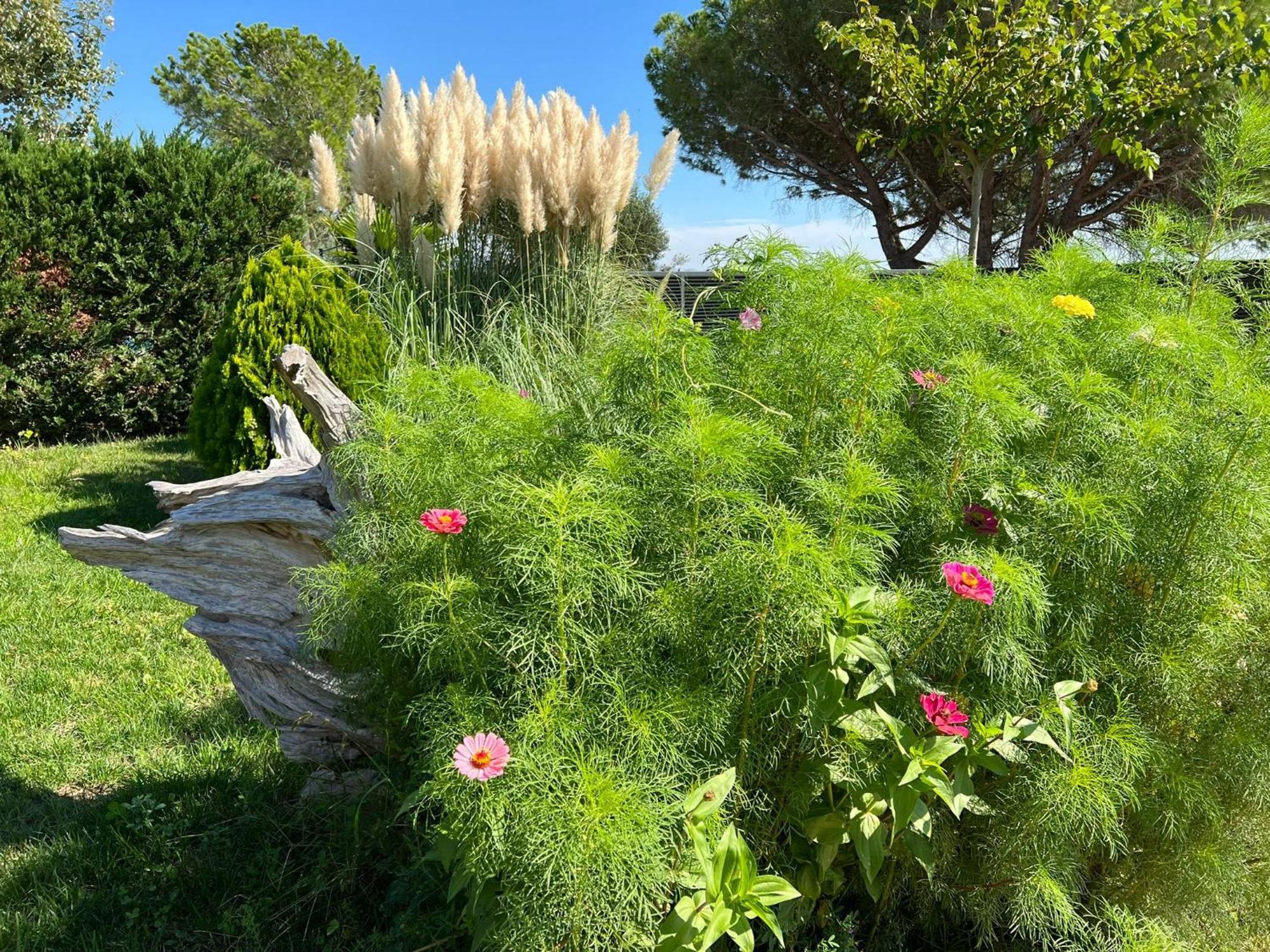 Villa Sol Peralada Golf Dış mekan fotoğraf